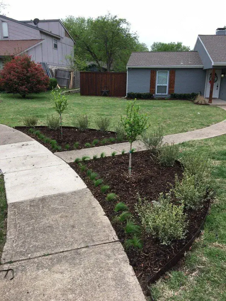 Residential lawn with newly planted curved garden beds