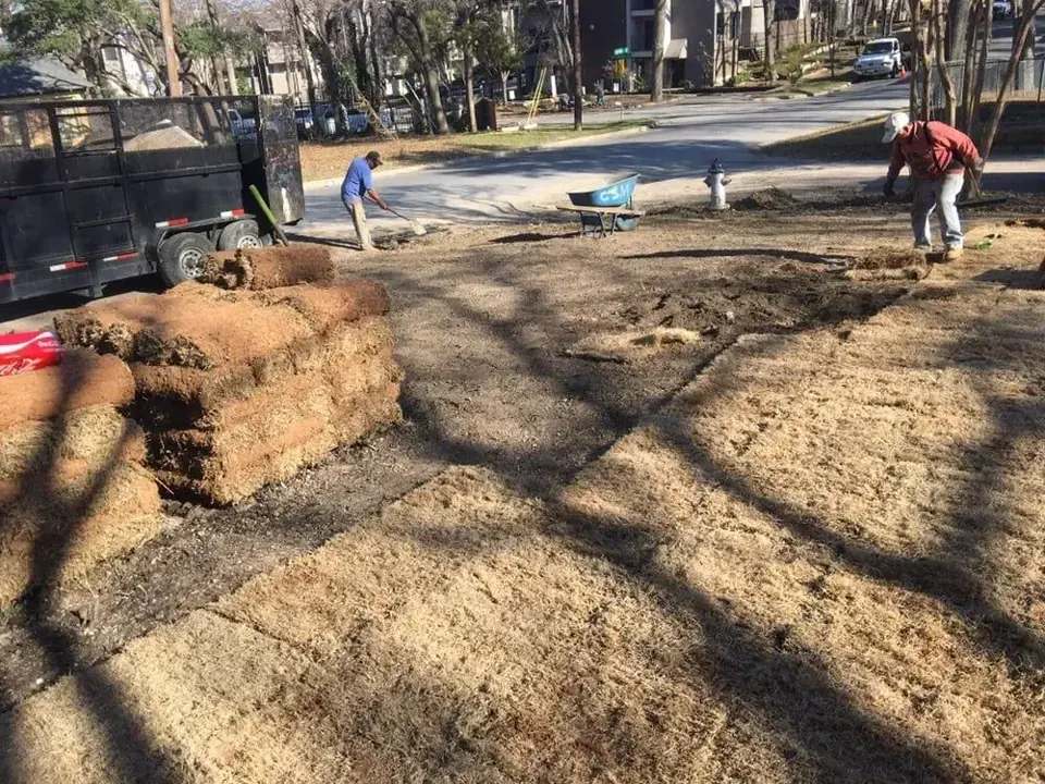 Sod installation after soil preparation